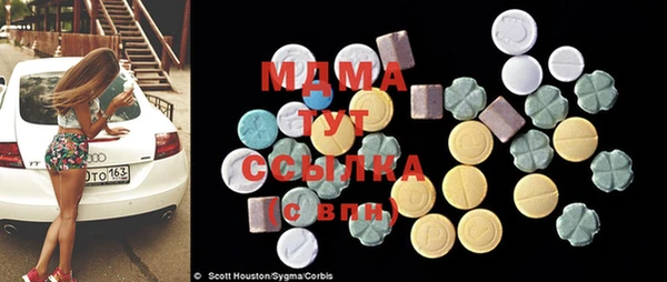 шишки Абаза
