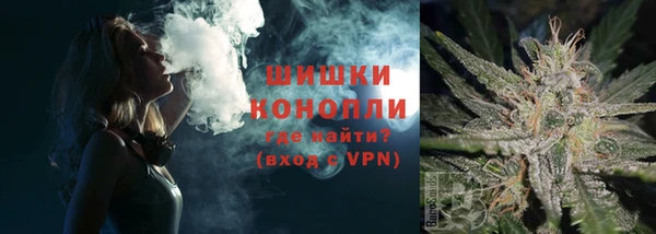 шишки Абаза