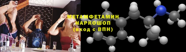 шишки Абаза