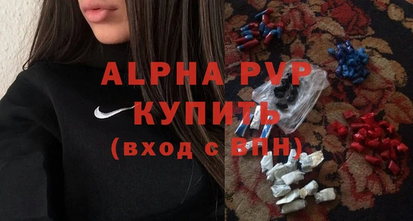 шишки Абаза