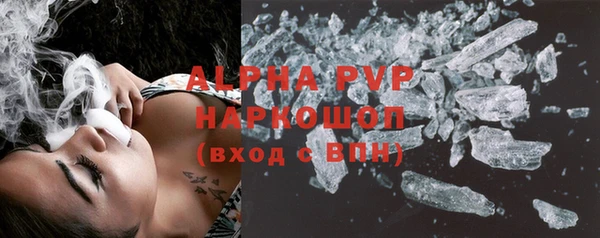 шишки Абаза